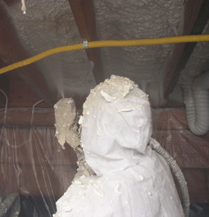 Indianapolis IN crawl space insulation