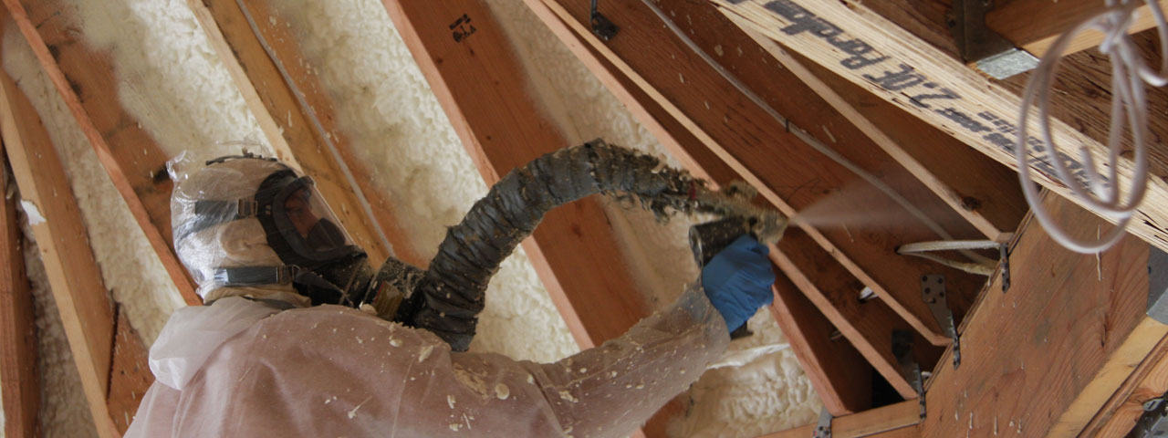 Indianapolis Indiana Attic Insulation Spray Foam